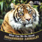What Can We Do About Endangered Animals? by Suzanne Slade, 9781404280809