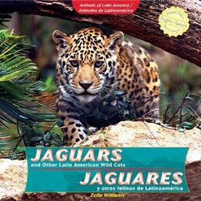 Jaguars and Other Latin American Wild Cats / Jaguares y otros felinos de Latinoamérica by Zella Williams, 9781404281257