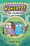 Go Camping by Maddie Frost, Maddie Frost, 9780593465295