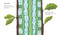 Trees: Haiku from Roots to Leaves by Sally M. Walker, Angela Mckay, 9781536215502