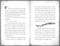 The Pirate's Eye - 9781664340633 by Guy Bass, Pete Williamson