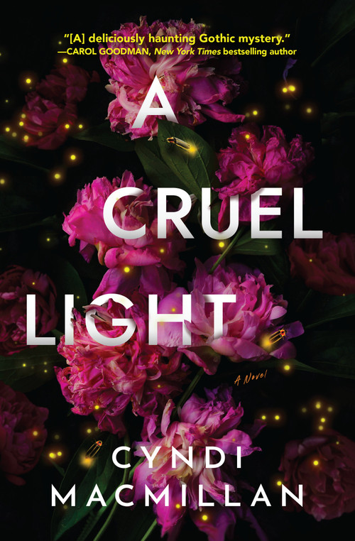 A Cruel Light (A Novel) by Cyndi MacMillan, 9781639103256
