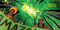 Together - 9781644212691 by Mona Damluji, Innosanto Nagara