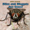 Flies and Maggots Are Gross! by Leigh Rockwood, 9781448807031