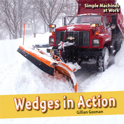 Wedges in Action - 9781448812998 by Gillian Houghton Gosman, 9781448812998