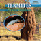 Termites - 9781448813537 by Lynn George, 9781448813537