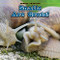 Snails Are Gross! - 9781448813599 by Leigh Rockwood, 9781448813599