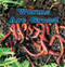 Worms Are Gross! - 9781448813612 by Leigh Rockwood, 9781448813612