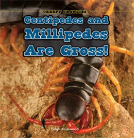 Centipedes and Millipedes Are Gross! - 9781448813636 by Leigh Rockwood, 9781448813636