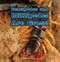 Centipedes and Millipedes Are Gross! - 9781448813636 by Leigh Rockwood, 9781448813636