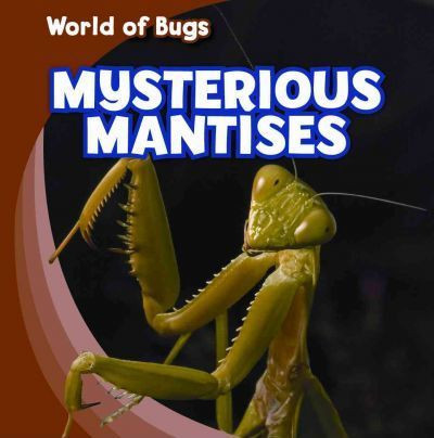 Mysterious Mantises - 9781433946042 by Greg Roza