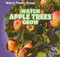 Watch Apple Trees Grow - 9781433948176 by Mary Ann Hoffman, 9781433948176