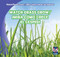 Watch Grass Grow / ¡Mira cómo crece el césped! by Kristen Rajczak Nelson, 9781433948312
