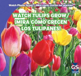 Watch Tulips Grow / ¡Mira cómo crecen los tulipanes! (Bilingual Edition) by Kristen Rajczak Nelson, 9781433948497