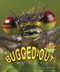 Bugged-Out Insects - 9781598452204 by Margaret J. Anderson, 9781598452204