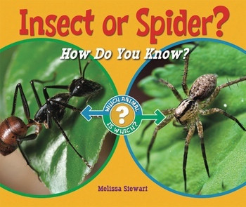 Insect or Spider? (How Do You Know?) - 9781598452372 by Melissa Stewart