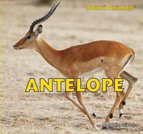 Antelope by Maddie Gibbs, 9781448825073