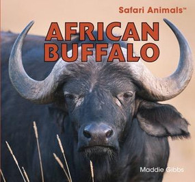 African Buffalo by Maddie Gibbs, 9781448825080