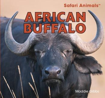 African Buffalo by Maddie Gibbs, 9781448825080