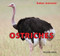 Ostriches - 9781448825097 by Maddie Gibbs, 9781448825097