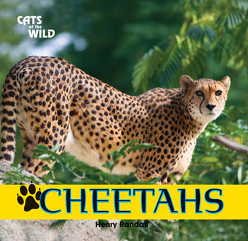Cheetahs - 9781448825189 by Henry Randall, 9781448825189