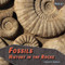 Fossils - 9781448825585 by Steven M. Hoffman, 9781448825585