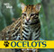 Ocelots - 9781448826230 by Henry Randall, 9781448826230