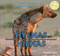 Hyenas / Hienas by Maddie Gibbs, 9781448831203