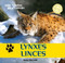 Lynxes / Linces by Henry Randall, 9781448831296
