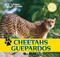 Cheetahs / Guepardos (Bilingual Edition) by Henry Randall, 9781448831302