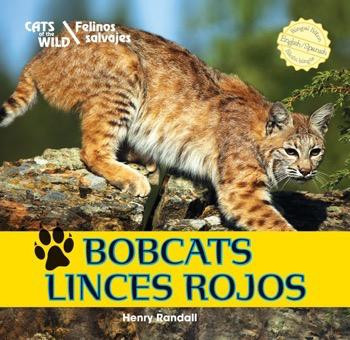Bobcats / Linces rojos by Henry Randall, 9781448831326