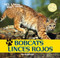 Bobcats / Linces rojos by Henry Randall, 9781448831326