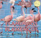 Flamingos / Flamencos by Maddie Gibbs, 9781448832132