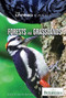 Forests and Grasslands by John P. Rafferty Associate Editor, Earth Sciences, 9781615303137
