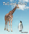 Tall and Short by Jane Katirgis, 9780766039124