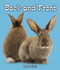 Back and Front - 9781598452594 by Jane Katirgis, 9781598452594