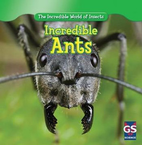 Incredible Ants by Susan Ashley, 9781433945717