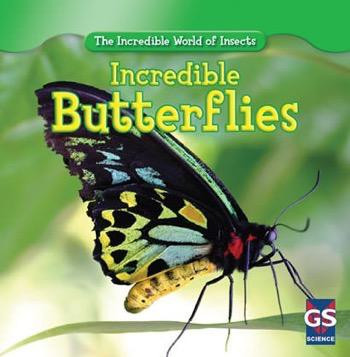 Incredible Butterflies by Susan Ashley, 9781433945793