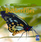 Incredible Butterflies - 9781433945809 by Susan Ashley, 9781433945809
