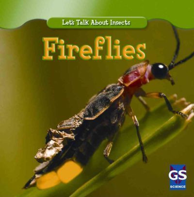 Incredible Fireflies - 9781433945847 by Susan Ashley, 9781433945847