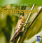Incredible Grasshoppers - 9781433945885 by Susan Ashley, 9781433945885