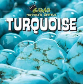 Turquoise - 9781433947117 by Eric Ethan, 9781433947117