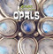 Opals by Eric Ethan, 9781433947230
