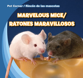 Furry Hamsters / Hámsteres peludos (Bilingual Edition) by Katie Kawa, 9781433956072