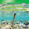 Banded Sea Snake / Serpiente marina rayada by Juliet Figorito, 9781433956256