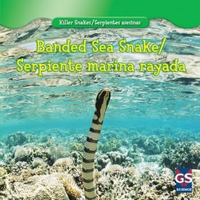 Banded Sea Snake / Serpiente marina rayada (Bilingual Edition) by Juliet Figorito, 9781433956256