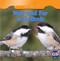 Near and Far with Birds by Tyrone Mineo, 9781433956669