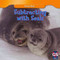 Subtracting with Seals - 9781433956720 by Charles Sellers, 9781433956720