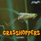 Grasshoppers - 9781448851638 by Lynette Robbins, 9781448851638