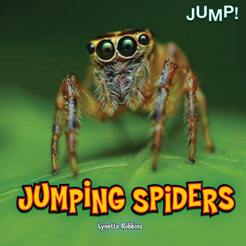 Jumping Spiders - 9781448851652 by Lynette Robbins, 9781448851652